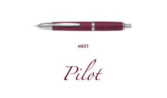 Pilot