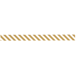 D377 * stripe gold 2 * MT masking tape