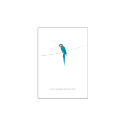 048. Spread your wings and color the sky * Studio Mira wenskaarten