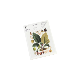 NP93 Botanical * A5 notablok * Pepin Press