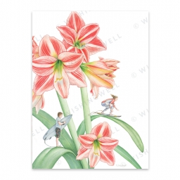FL08. Amaryllis * Wishingwell wenskaart