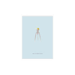 062. Love life, squeeze the day* Studio Mira wenskaarten