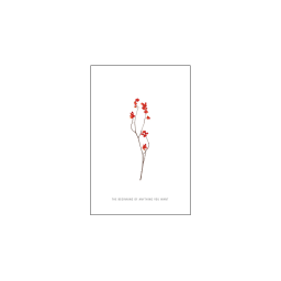 001. The beginning of anything you want * Studio Mira wenskaarten