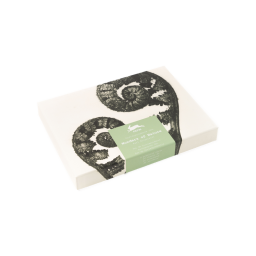 CO06 Wonders Of Nature * Correspondentie set * The Pepin Press