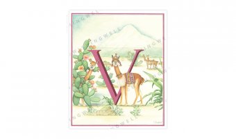 152. 'V' Vicuna * wishingwell * card