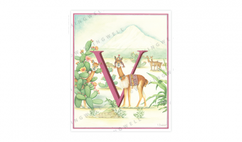 152. 'V' Vicuna * Wishingwell * wenskaart