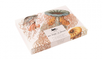 CO98 Art Forms In Nature * Correspondentie set * The Pepin Press