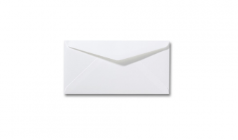 Biotop Envelopes DL * Sakura Gallery