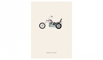 034. Born to be wild * Studio Mira gift cards