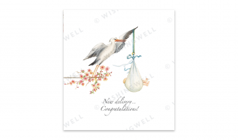 04. New Delivery... Congratulations! * Wishingwell Greeting Card