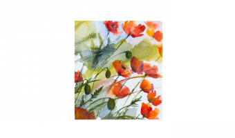 IV.010 * Poppy Aquarel * gift card * Arti