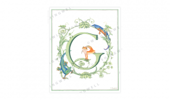 136. 'G' Gecko * Wishingwell * card