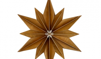 74. Decor Star Cinnamon Brown 24cm * 3D puzzel kaart * LOVI