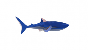 20. Shark Wall Art * Studio ROOF