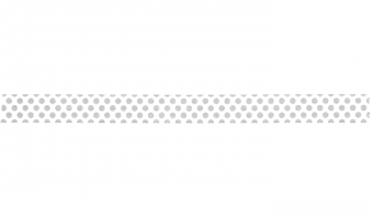 D366 * dot silver * MT masking tape