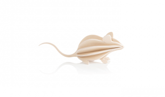 14. Mouse naturel * 3D puzzle card * LOVI