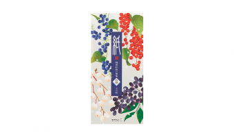 59.3 Winter Fruit '25 Message Pad * Midori