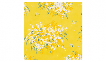 22. Cohare Mimosa Yellow 45 * Musubi