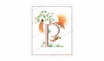 146. 'P' Paradise Bird * Wishingwell * card