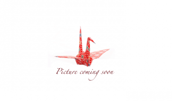 10 Oliepastels Kleurtoon Parelmoer * Artisan Pastellier