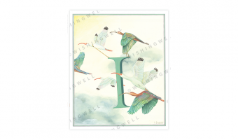 138. 'I' Ibis * Wishingwell * card