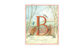 130. 'B' Bever * Wishingwell * card