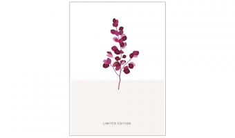 064. Limited Edition* Studio Mira greeting cards