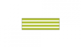 D388 * Border Kiwi * MT masking tape
