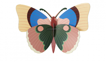 29. Cepora Butterfly Wall Art * Studio ROOF
