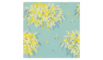 20. Cohare Mimosa Mint 70 * Musubi