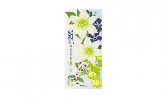 51.3 Zomer Bloemen '25 Berichtenbriefjes * midori