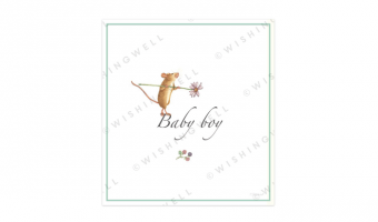 97. Baby boy * Wishingwell * gift card