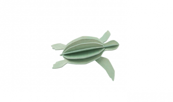 34. Zeeschildpad muntgroen * 3D puzzel kaart * LOVI