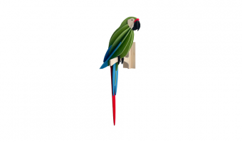 86. Great Green Macaw 26cm * 3D Puzzle Card * Lovi