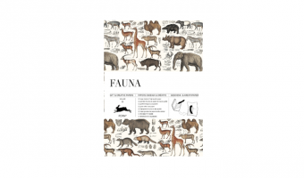 GCP32 Fauna * Creative papers * The Pepin Press