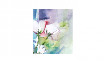 IV.4c * White Rose Aquarel * gift card * Arti