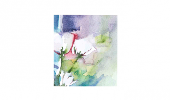 IV.012 * Witte roos Aquarel * wenskaart * Arti