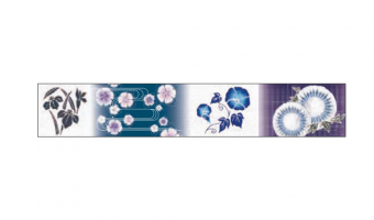 P131 * Yukata * MT masking tape