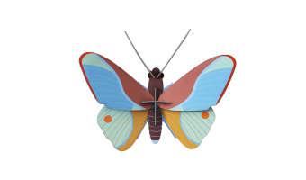 28. Claudina Butterfly Wall Art * Studio ROOF