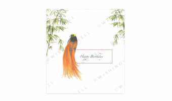 124. Happy birthday * Wishingwell * gift card