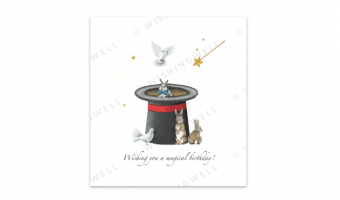 10. Wishing you a magical birthday * Wishingwell * card