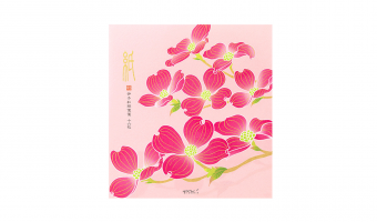 17.1 Flowering Dogwood letter pad * Midori