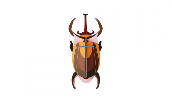 24. Elephant Beetle Wall Art * Studio ROOF
