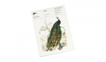 NP62 Birds * A5 notepad * Pepin Press