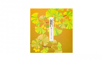 12.1 Autumn Ginkgo briefpapier * Midori