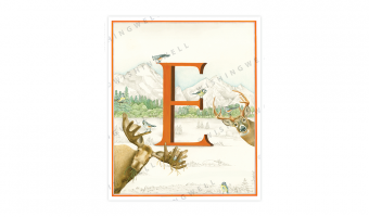 134. 'E' Elk * Wishingwell * card
