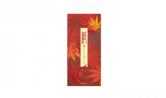 11.3 Autumn Maple Japanese message letter pad * Midori