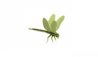 24. Dragonfly green * 3D puzzle card * LOVI