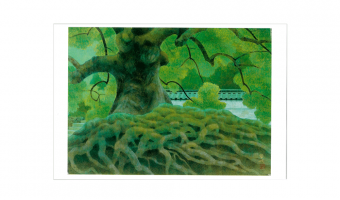 020. An old tree of Seiren-in,  Japanese post card * Benrido