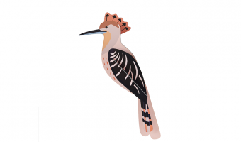 30 Hoopoe Wall Art * Studio ROOF